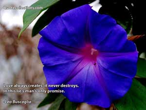 leo_buscaglia_quotes Quotes 4